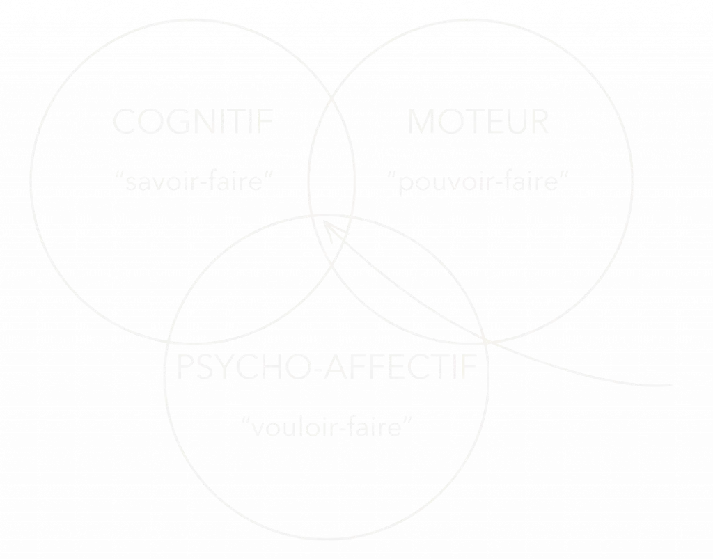 Course Schedule Ludique Multicolore for kids